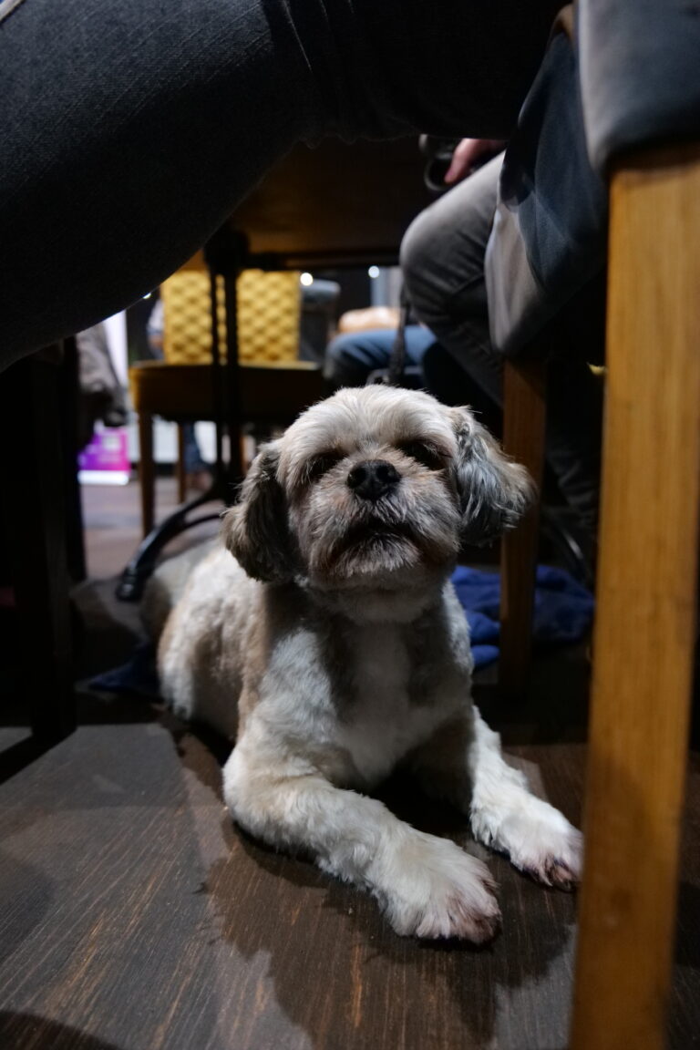 P1030613