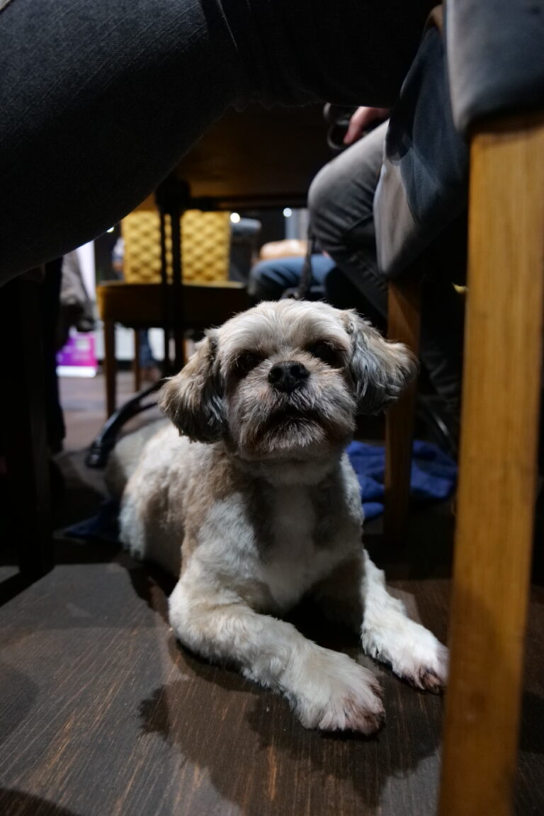 P1030614