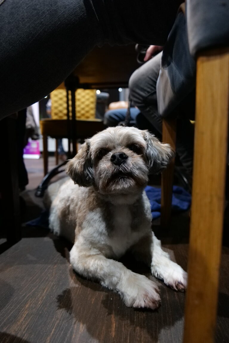 P1030615